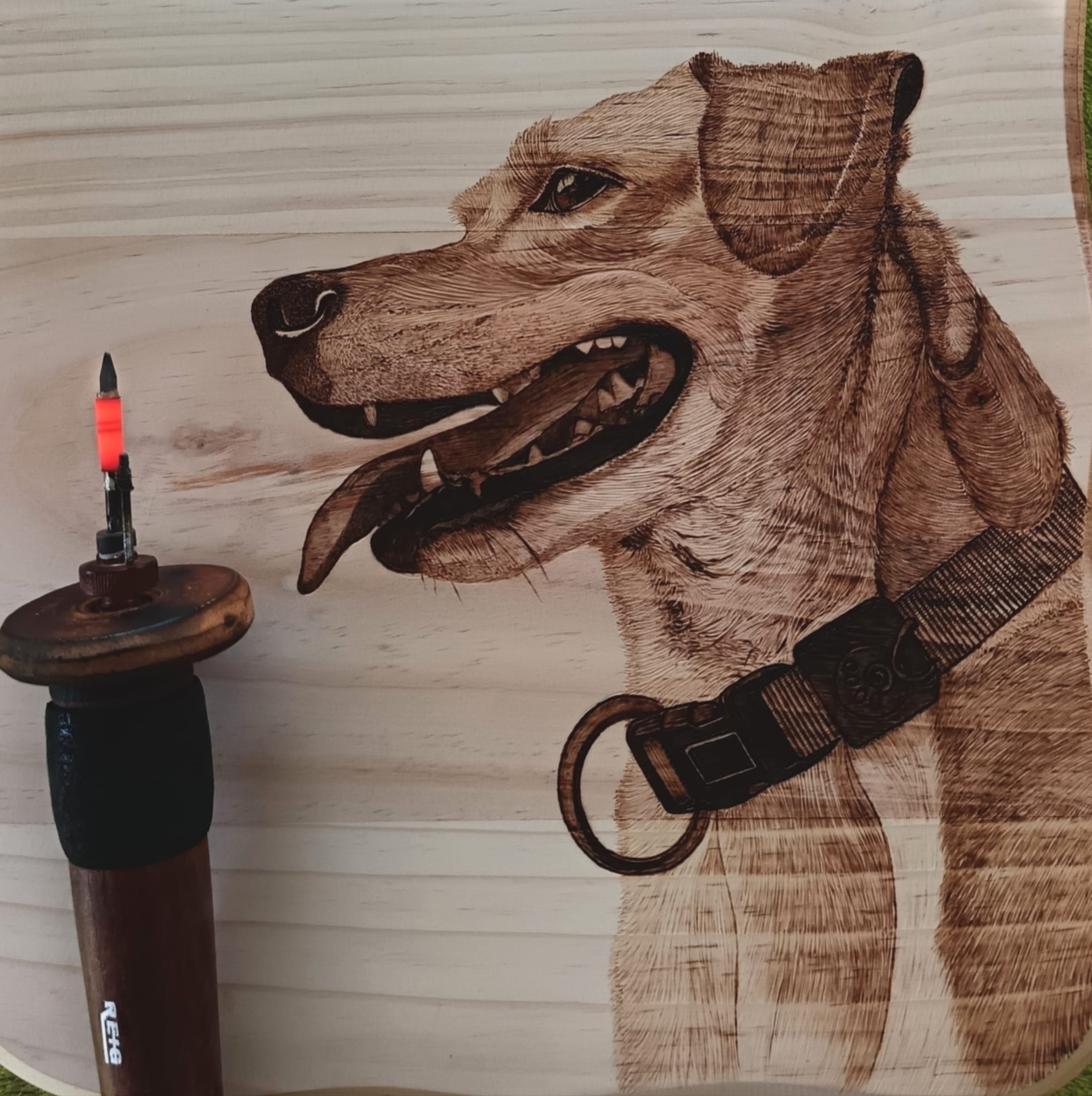 2f456a07-a676-4274-86ff-1603b7f03cdd