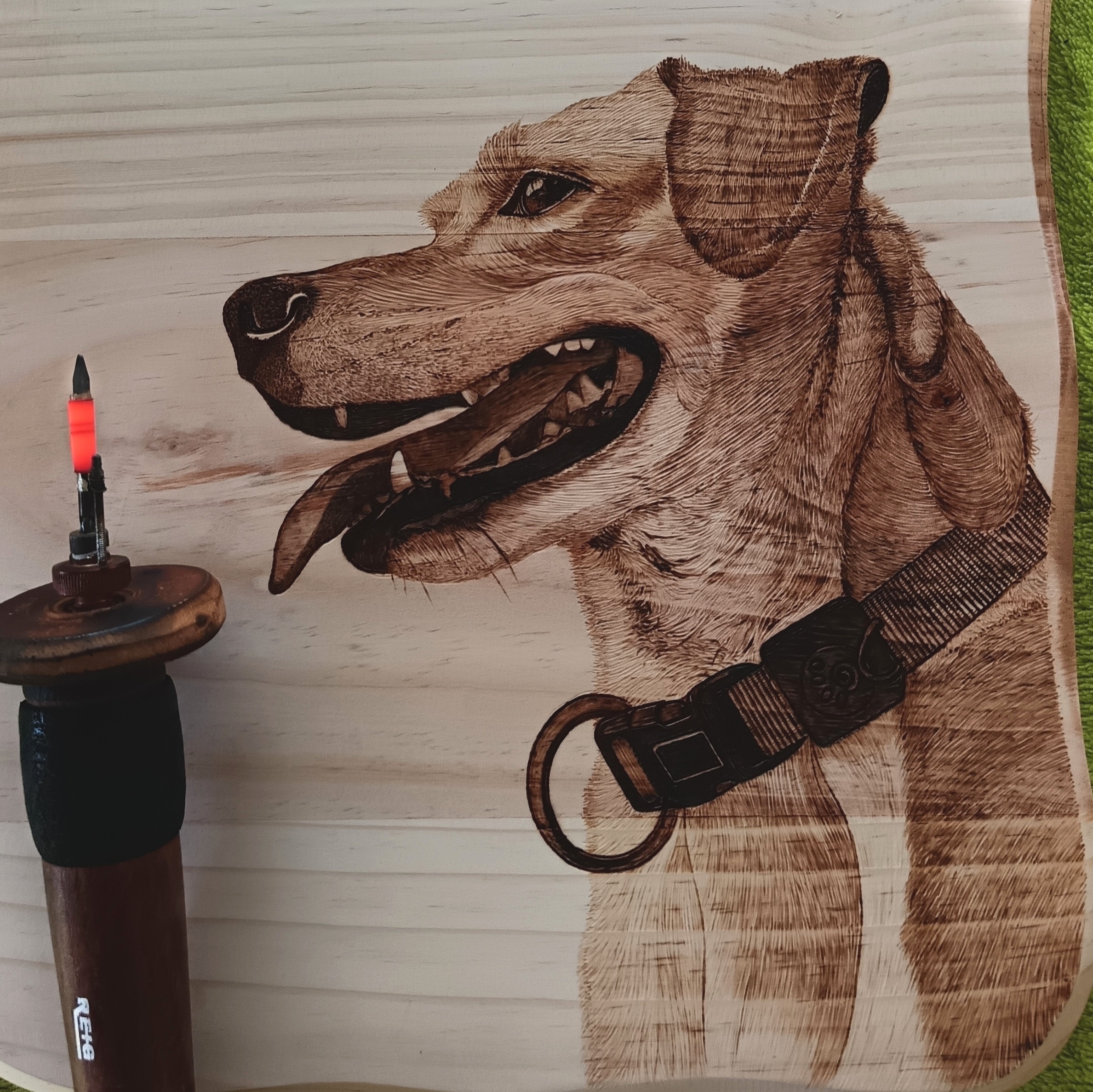 IMG_20251015_081507_edit_609041404699454