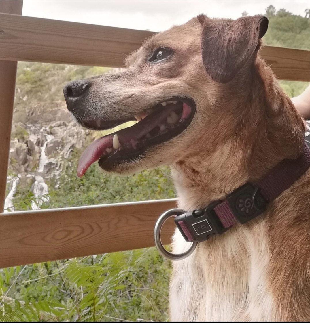 Screenshot_20251015_080712